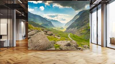 Green valley in Snowdonia National Park. North Wales. UK Wall mural