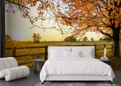 Sunset in autumn in England Wall mural