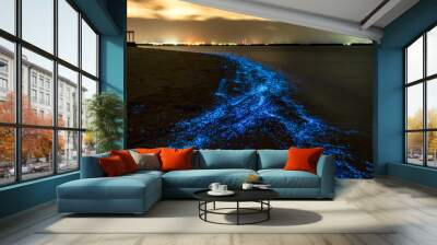 Bio luminescence. Night beach scene in Maldives with bio luminescent plankton illuminating the waterline. Wall mural