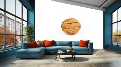 The walnut Wall mural