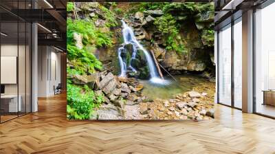 The waterfall in mountain Wall mural