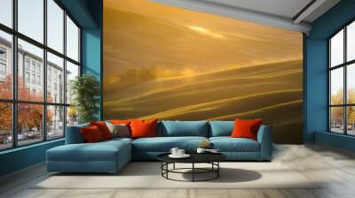 Fantastic sunny spring field in Italy, tuscany landscape morning foggy famous Cypress trees Wall mural