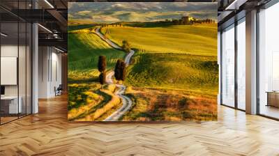 Impressive spring landscape,view with cypresses and vineyards ,Tuscany,Italy Wall mural