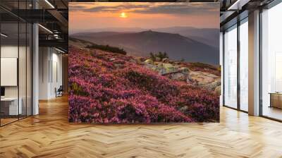 Summer view with heathers in the Karkonosze Mountains during sunrise. Wall mural