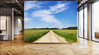 Rural road landscape. Summer meadow sandy road. Blue sky sunny day. Aqrucutural field road. Agricultural field road. Wall mural