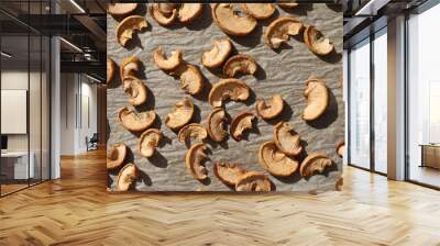 Slices of sun dried apples on brown baking paper. Dried fruits as a healthy snack background. Natural and nutritious pieces of an apple. Brown rustic sunlight fruits pattern. Sliced apple texture. Wall mural