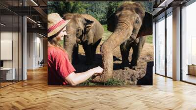 Young girl feeding elephant. Big elephant in rescue center being fed by tourist. Woman giving animal a snack. Playing with wildlife. Long elephant trunk reaching out for food. Wall mural