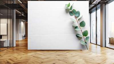 Minimalistic layout on white table with eucalyptus sprig Wall mural