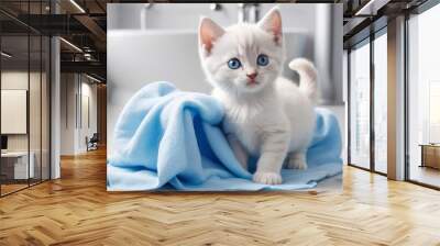 kitten big cute blue eyes after washing Wall mural