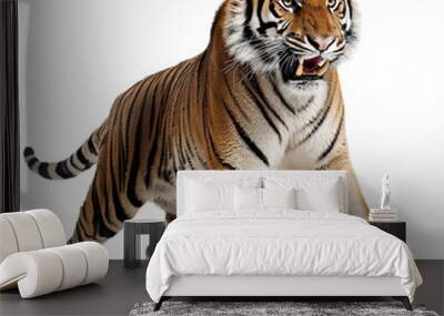 tiger isolated on transparent background Wall mural