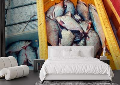 Fish on a boat Wall mural