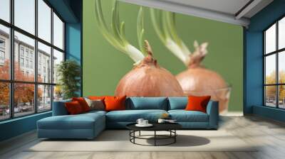 Two sprouted onions on a green background Wall mural