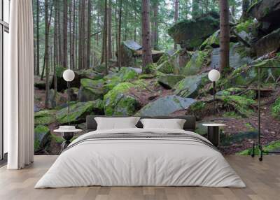 Scandinavian mountain nature with stones. Rocks in the forest with moss. Wall mural