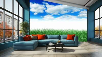 Gras mit Himmel und Wolken 2 Wall mural