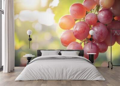 Fresh red grapes glisten in the sunlight, showcasing their natural beauty and vibrant color against a blurred green background. Wall mural