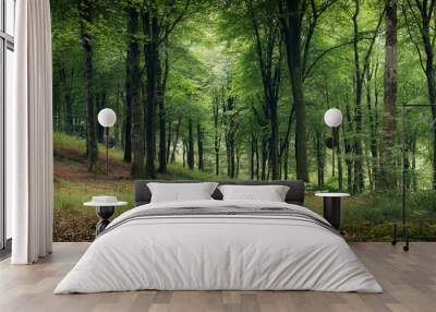 Idless woods near Truro Cornwall England uk  Wall mural