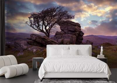 saddle tor in dartmoor national park devon england uk at sunset Wall mural