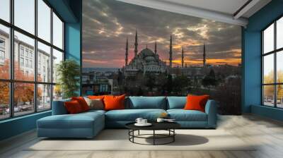 The Blue Mosque of Istanbul Wall mural