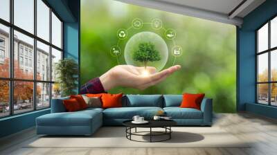 hand holding a green tree with icons of energy sources for renewable, sustainable development. ecolo Wall mural