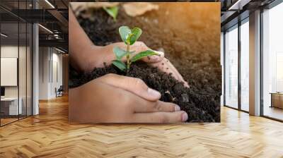 Little seedling in black soil on child hand.world environment day.Earth day concept. Wall mural