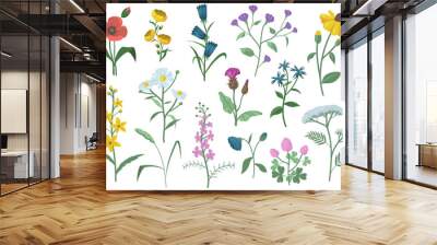 Pretty field flowers flat set for web design. Cartoon graphic poppies, chamomile, daisies, bells, Echinacea isolated vector illustration collection. Summer meadow and blossom concept Wall mural