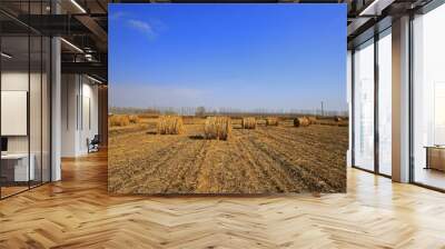 Dry straw under the blue sky Wall mural