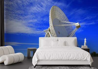 The observatory radio telescope Wall mural