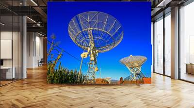 The observatory radio telescope Wall mural