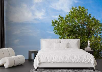 Blue sky with tree Wall mural