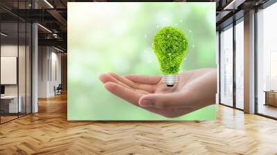 eco concept: variety of light bulbs with plant inside.hand holding eco light bulb, save energy concept Wall mural