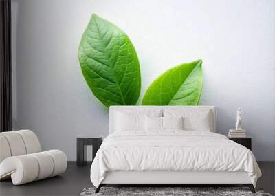 green leaves on a white background Wall mural