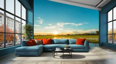 beautiful sunset at the wetland, breathtaking sunset with blue sky Wall mural