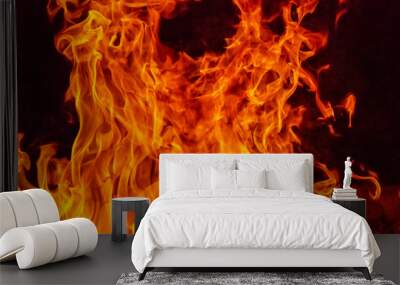 Blazing fire flame background and textured Wall mural