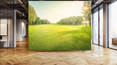 Scenery green golf and meadow with sunbeam in morning, Wonderful sunbeam at the natural park, Scenery fairway with trees and green grass field Wall mural