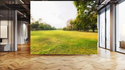 Scenery green park and meadow with sunlight in autumn, Beautiful green grass at the natural park Wall mural