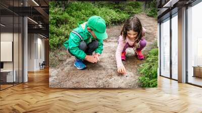 Little children boy and girl sitting on forest ground exploring and learning about nature and insects. Looking at a black bug. Wall mural