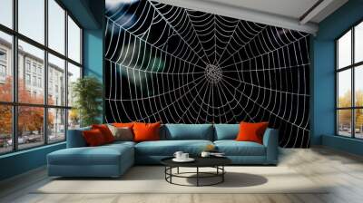 Shiny spider web with morning dew and dark background. Wall mural