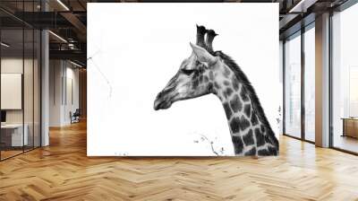 A solitary giraffe in the woodlands of Kruger National Park, South Africa Wall mural