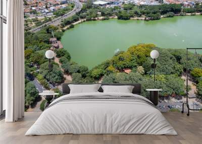 Aerial view of Taquaral park in Campinas, São Paulo. In the background, the neighborhood of Cambui. Wall mural