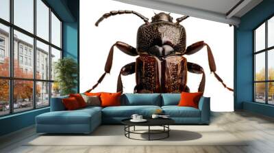 Shiny Brown Beetle with Speckled Exoskeleton Wall mural