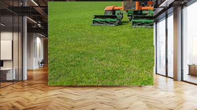 large motor mower mows green grass Wall mural