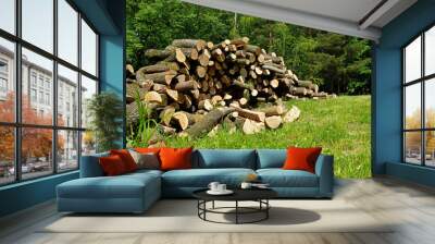 sawn firewood for the winter poised on green grass Wall mural