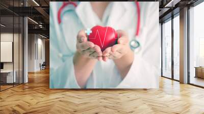 Medical heart cardiology concept Wall mural