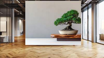 A small bonsai tree displayed on a wooden stand, isolated on a plain background Wall mural