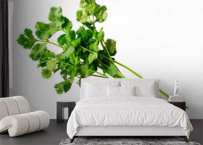 Single sprig of fresh mint and a few coriander leaves, isolated on a white background, highlighting their vibrant green color and health properties Wall mural