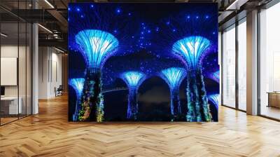 The futuristic Supertree Grove at Gardens by the Bay lights up the night sky with its mesmerizing Garden Rhapsody light and sound show. Wall mural