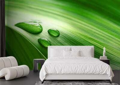 close-up of green plant leaf Wall mural