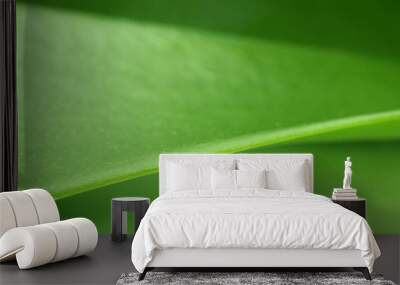 plant leaf Wall mural