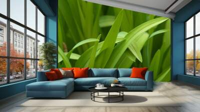 Plant Tips Wall mural