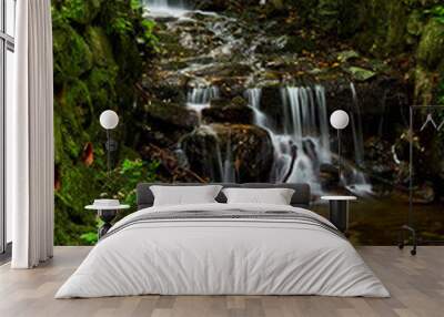 Beautiful small creek and waterfal in Bellano Lake Como Wall mural